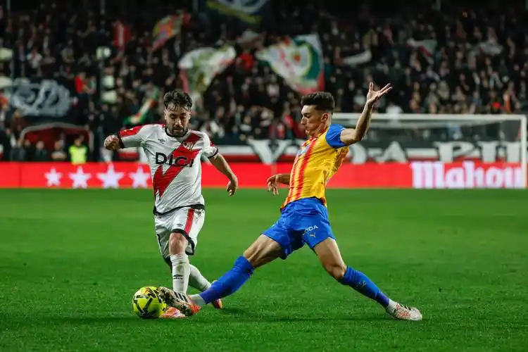 雨燕体育在线直播